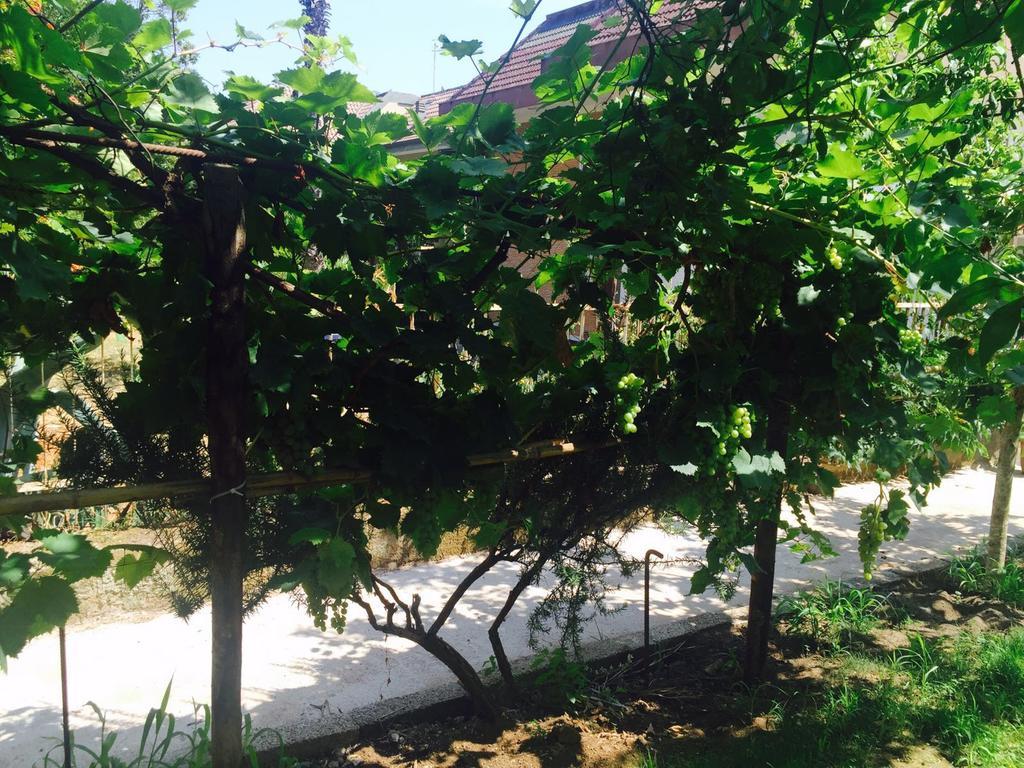Aloha House Hotel Formia Exterior foto